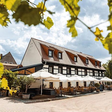 Weingut Schuh - Pension Zur Bosel Coswig  Kültér fotó