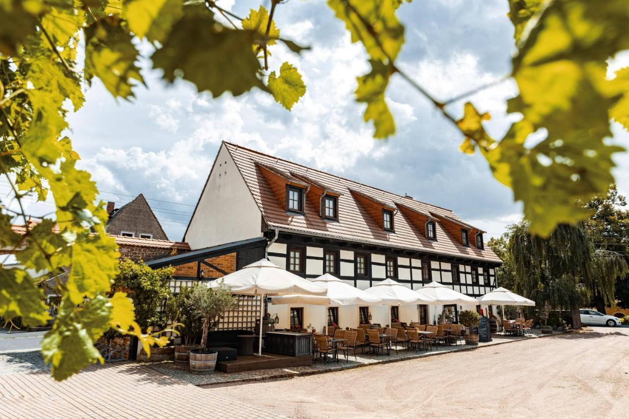 Weingut Schuh - Pension Zur Bosel Coswig  Kültér fotó