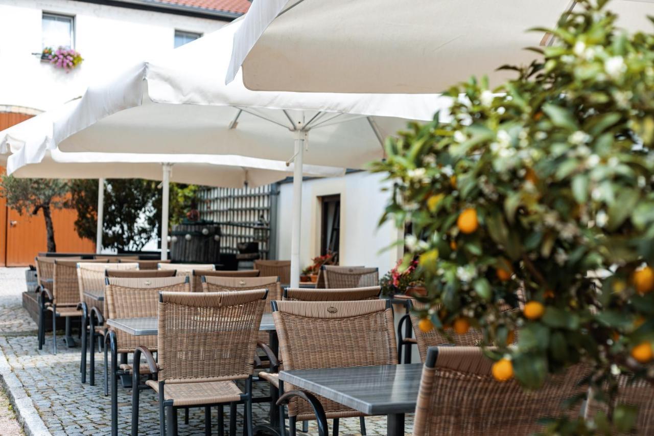 Weingut Schuh - Pension Zur Bosel Coswig  Kültér fotó